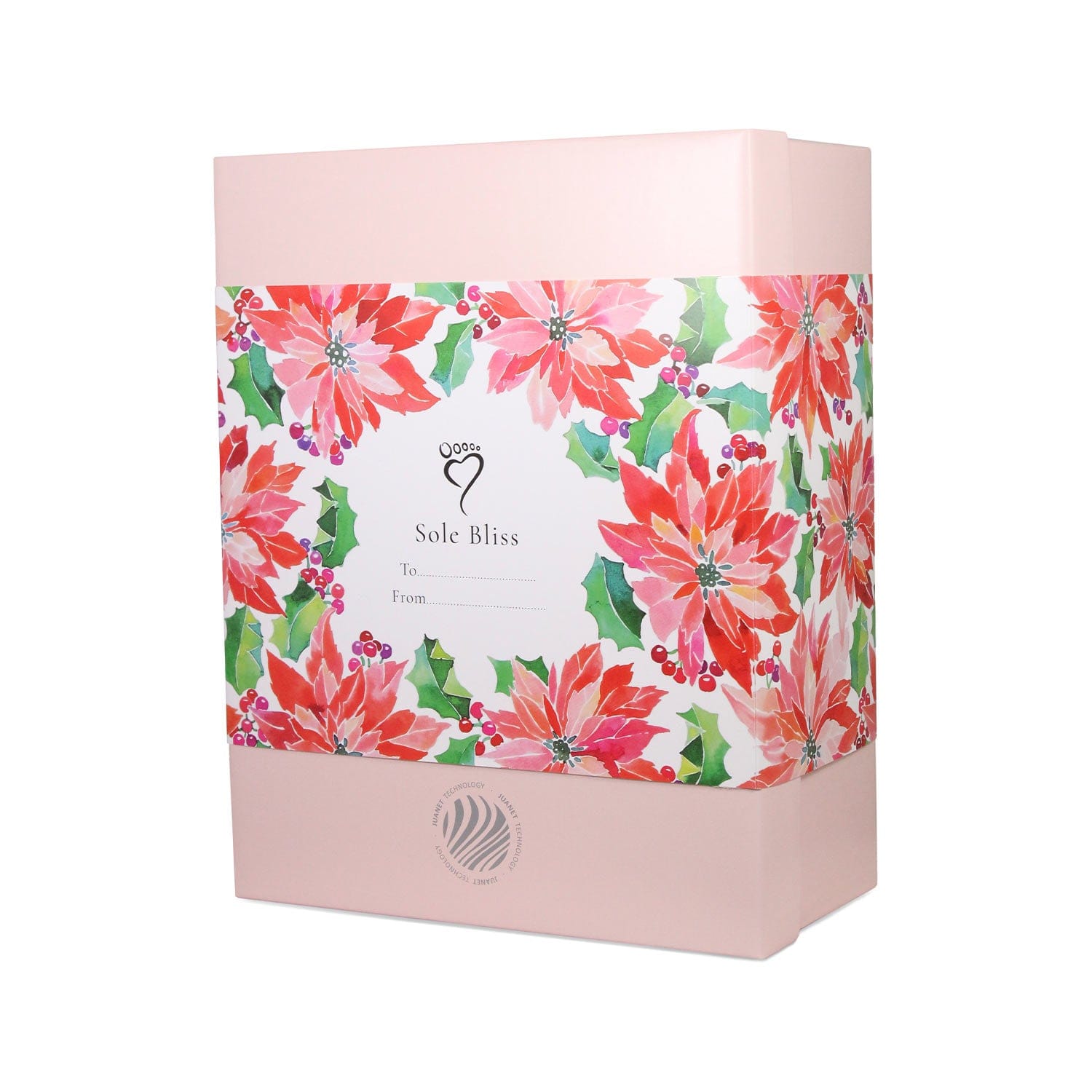 Shoes Snug: Taupe Suede & Wool Sole Bliss USA