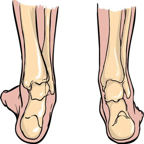 Article media image